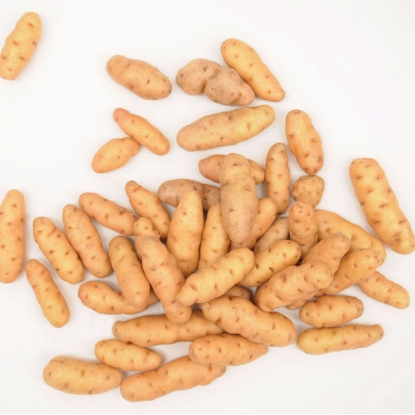 Picture of Potatoes Anya - 8 x 2kg Nets